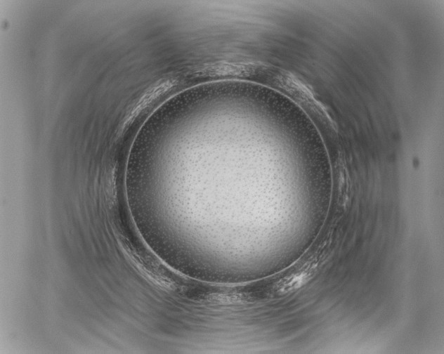 X0000059820250200510241403