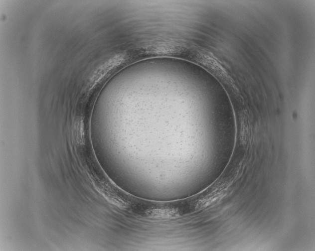 X0000059820251200510241403