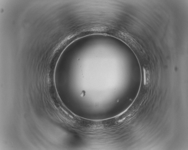 X0000059820252200510241403