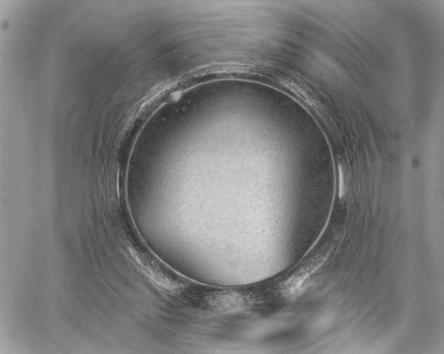 X0000059820253200510241403