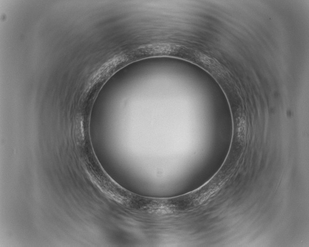 X0000059820254200510241403