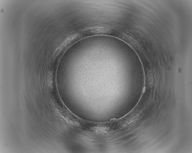 X0000059820255200510241403