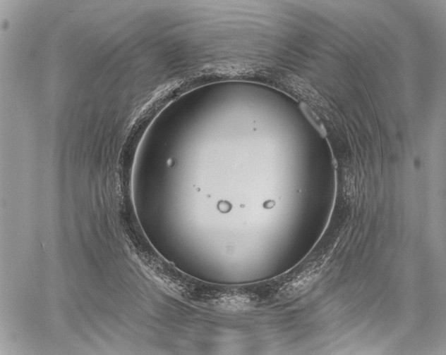 X0000059820256200510241403