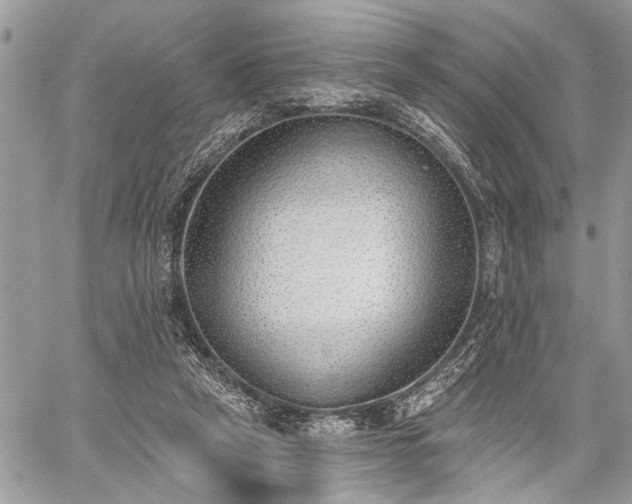 X0000059820257200510241403