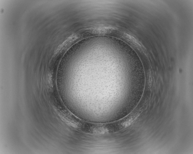 X0000059820258200510241403