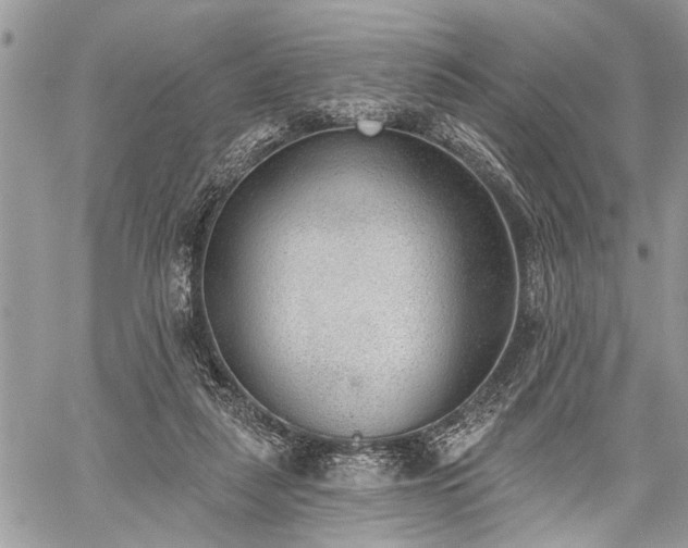 X0000059820259200510241403