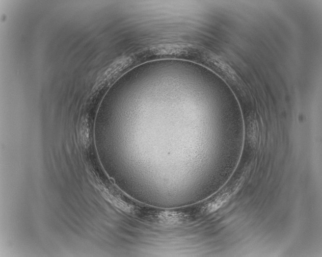 X0000059820261200510241403