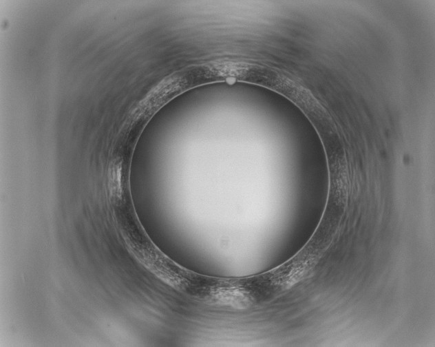 X0000059820262200510241403