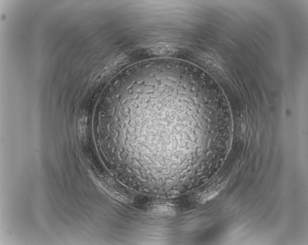 X0000059820263200510241403