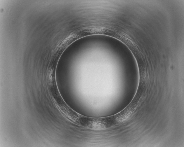 X0000059820264200510241403