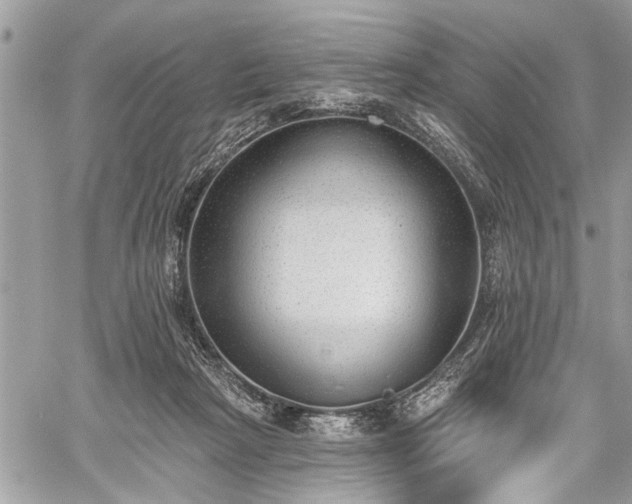 X0000059820265200510241403