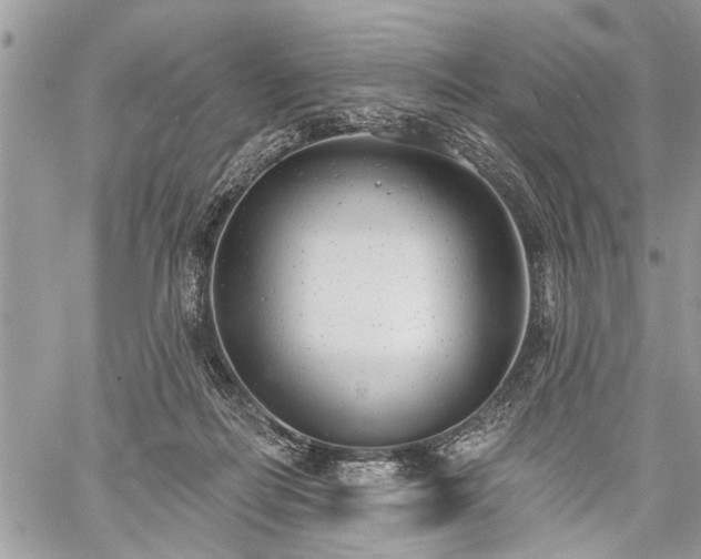 X0000059820266200510241403