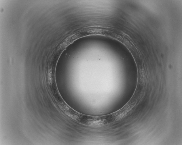 X0000059820267200510241403