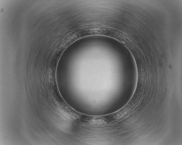 X0000059820270200510241403