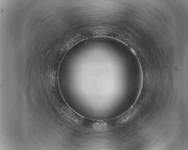 X0000059820271200510241403