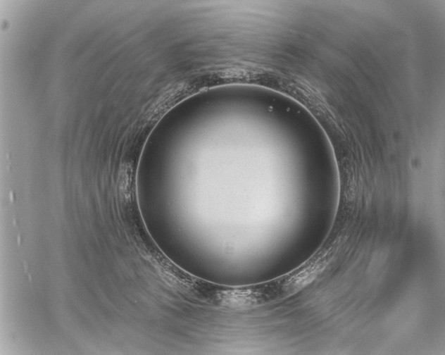 X0000059820273200510241403