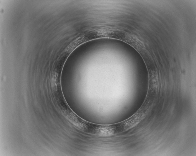 X0000059820275200510241403