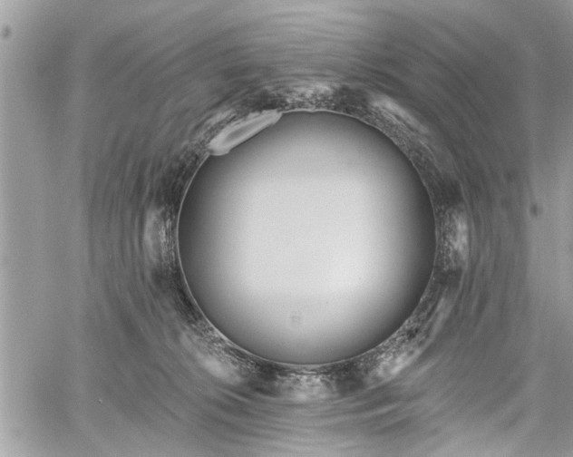 X0000059820276200510241403