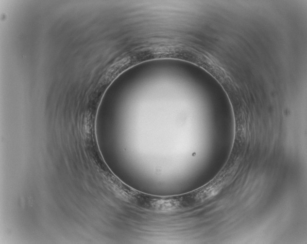 X0000059820277200510241403