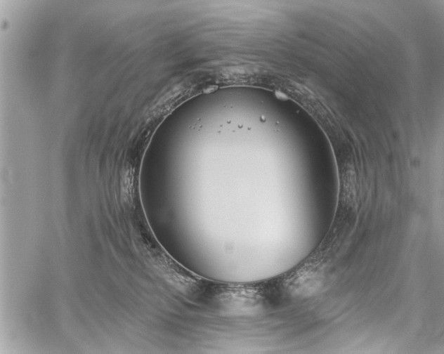 X0000059820278200510241403