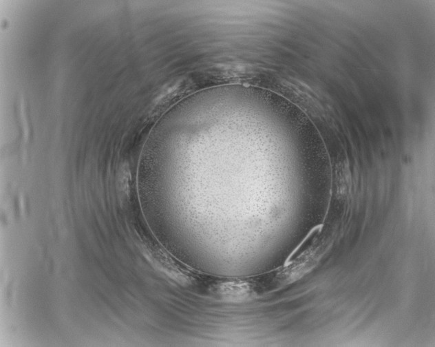 X0000059820279200510241403