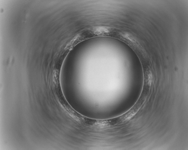 X0000059820280200510241403