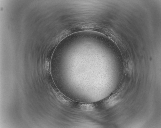 X0000059820281200510241403