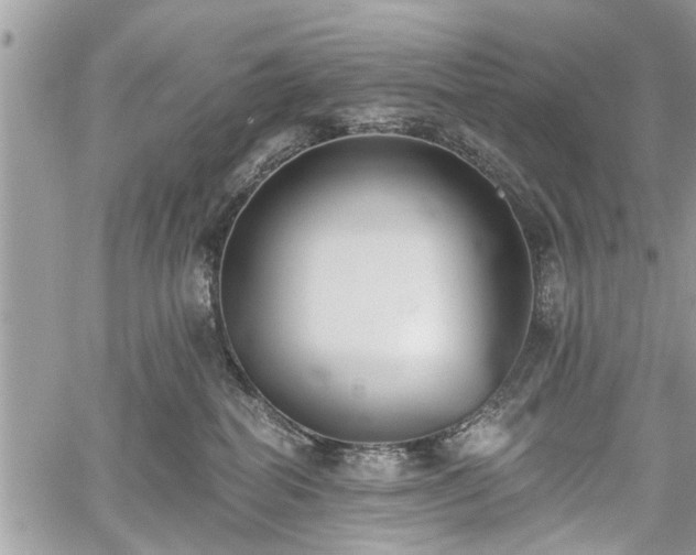 X0000059820282200510241403