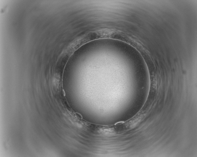 X0000059820283200510241403