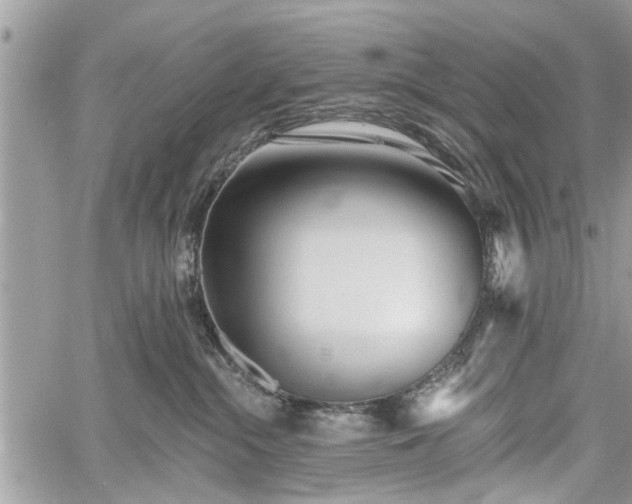 X0000059820284200510241403