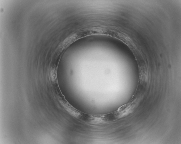 X0000059820285200510241403