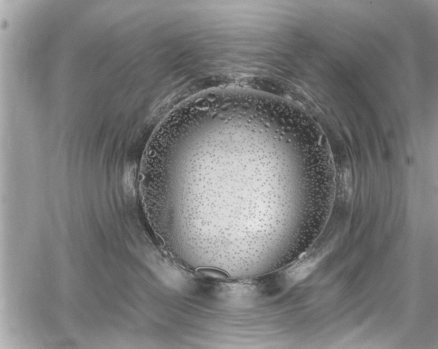 X0000059820286200510241403