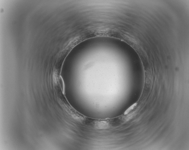 X0000059820287200510241403