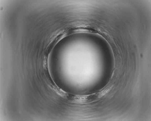 X0000059820288200510241403