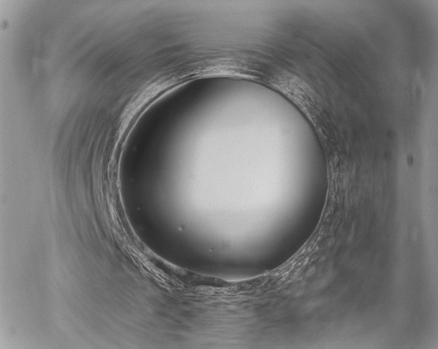 X0000059820289200510241402