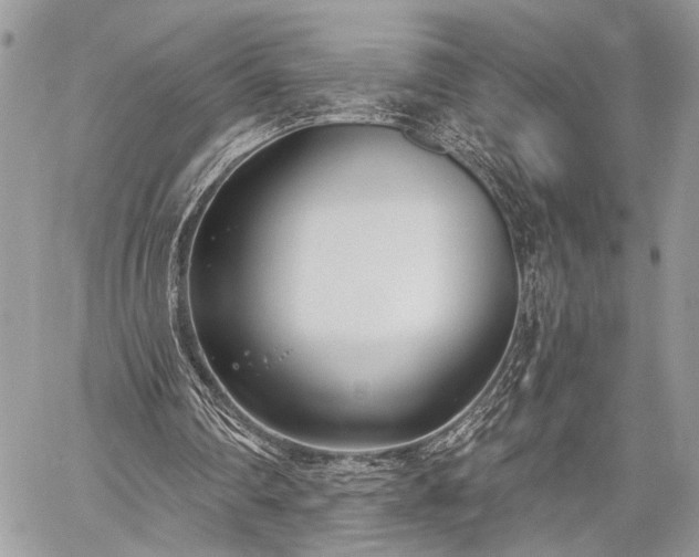 X0000059820290200510241402