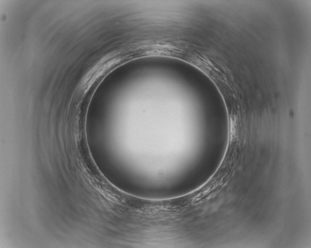 X0000059820291200510241402