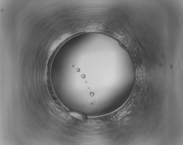 X0000059820292200510241402