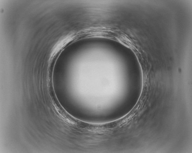 X0000059820293200510241402