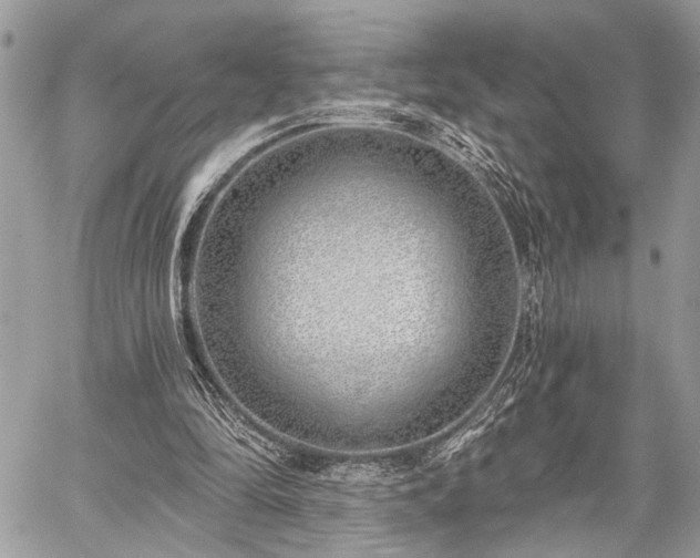 X0000059820294200510241402