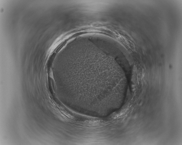 X0000059820295200510241402