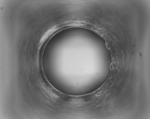 X0000059820296200510241402