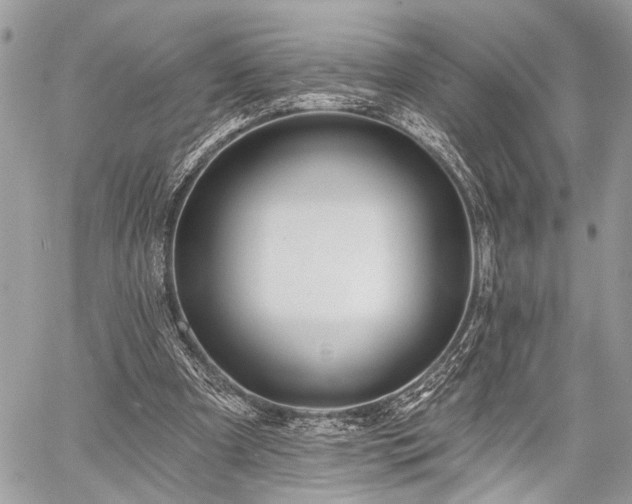 X0000059820297200510241402