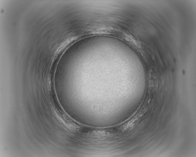 X0000059820298200510241402