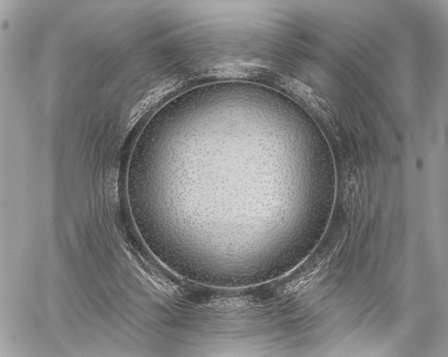 X0000059820299200510241402