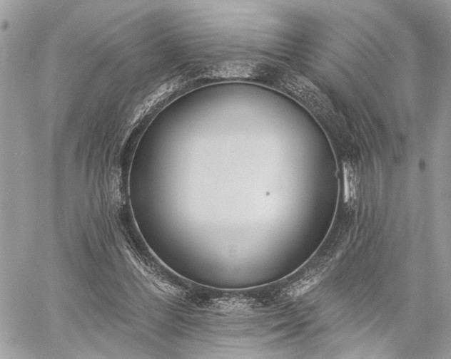 X0000059820300200510241402