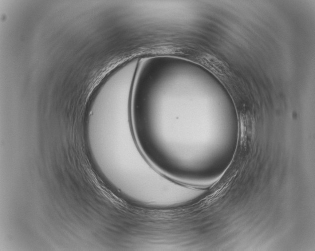 X0000059820301200510241402