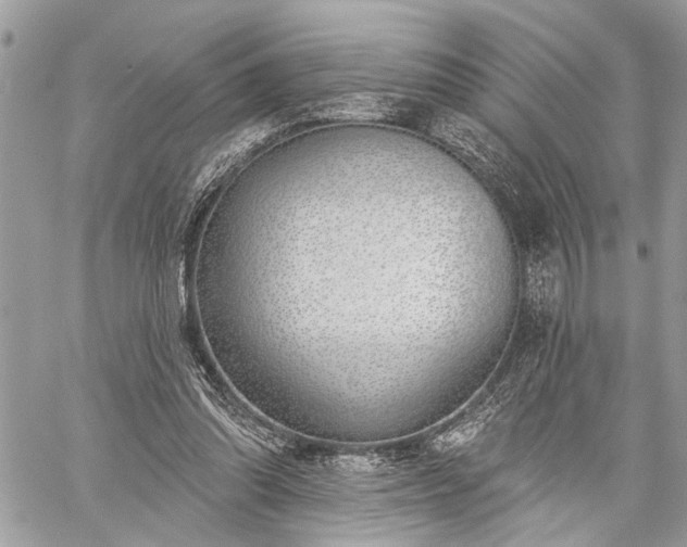 X0000059820302200510241402