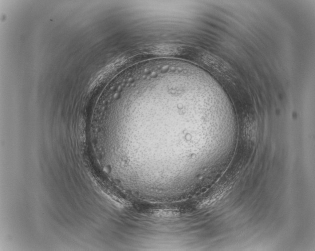 X0000059820303200510241402