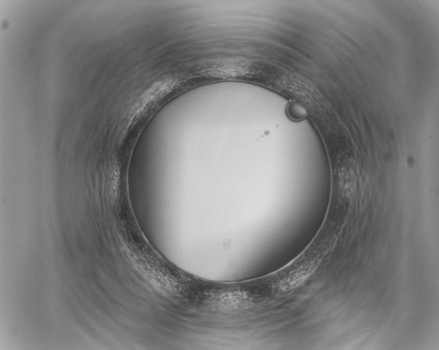 X0000059820304200510241402